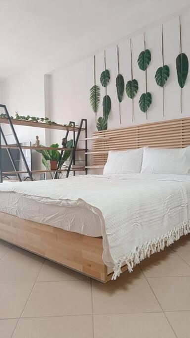 Φρίντα Στο Κέντρο Της Ορεστιάδας Apartment Екстериор снимка