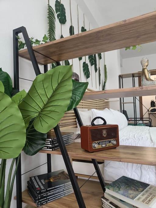 Φρίντα Στο Κέντρο Της Ορεστιάδας Apartment Екстериор снимка